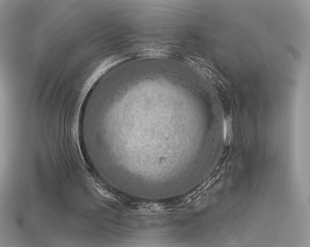X0000115690195200911121315