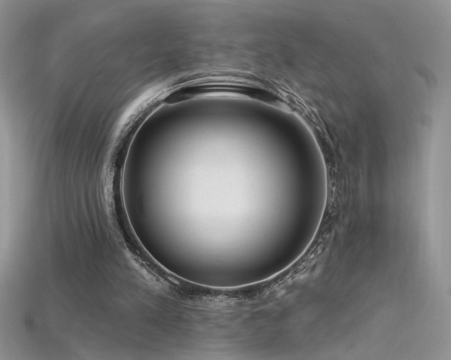 X0000115690197200911121315