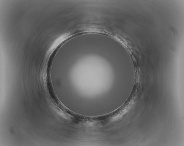 X0000115690199200911121315