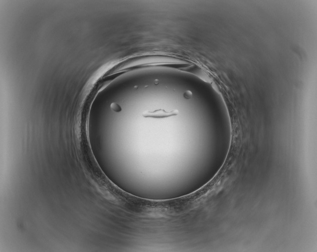 X0000115690200200911121315