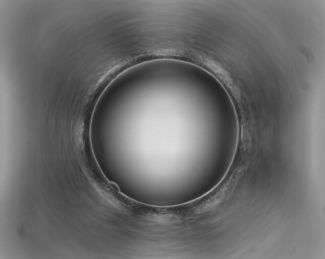 X0000115690201200911121315