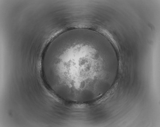 X0000115690202200911121315