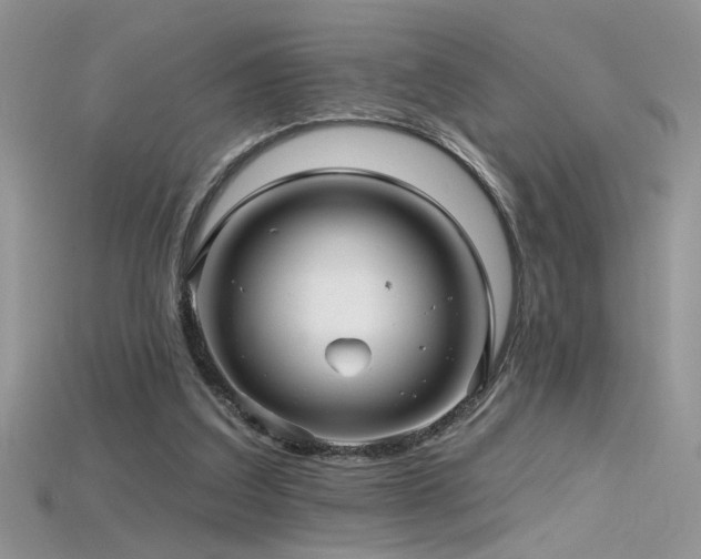 X0000115690203200911121315