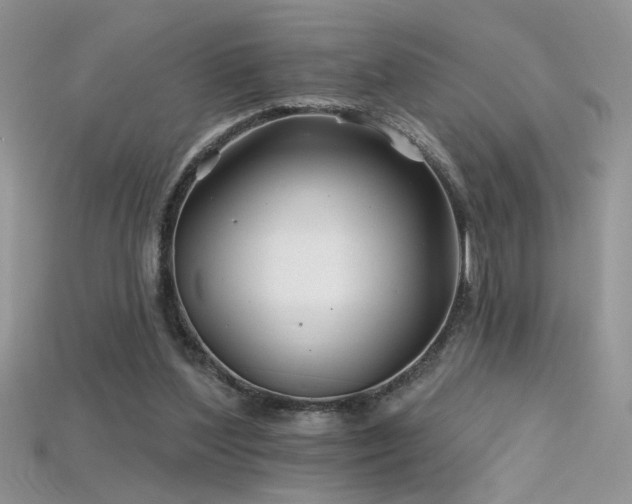 X0000115690204200911121315