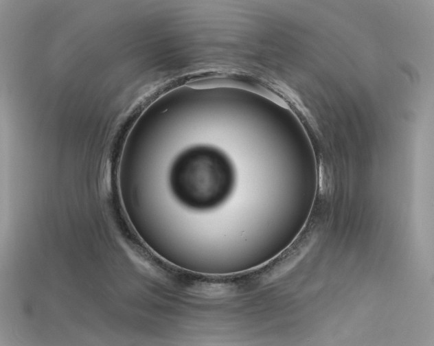 X0000115690205200911121315