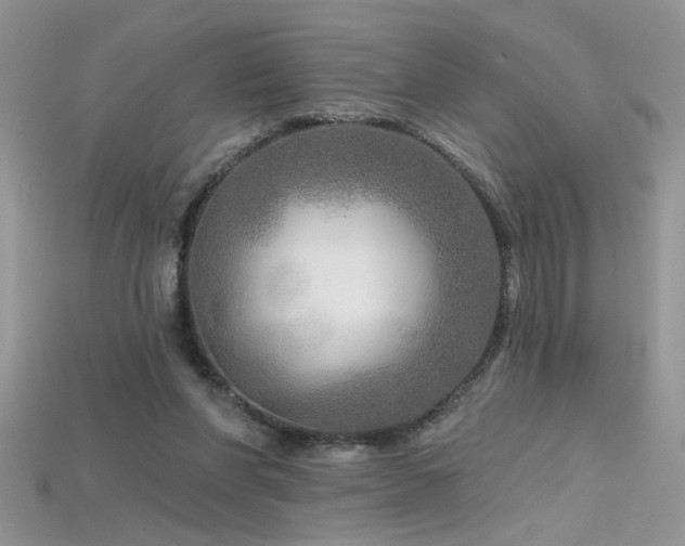 X0000115690206200911121315