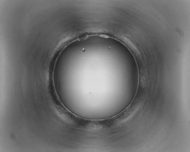 X0000115690207200911121315