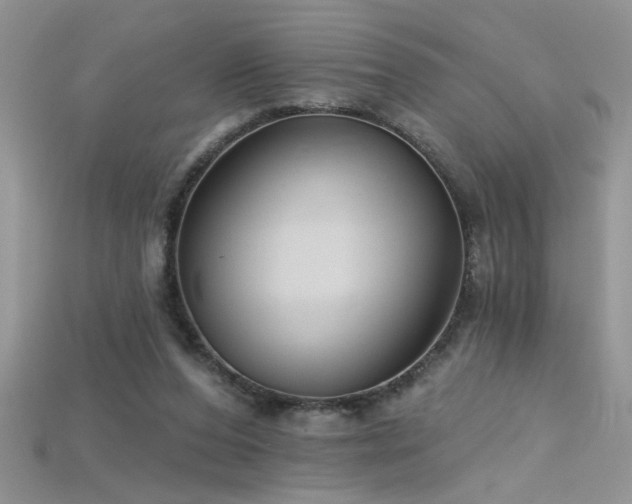X0000115690208200911121315