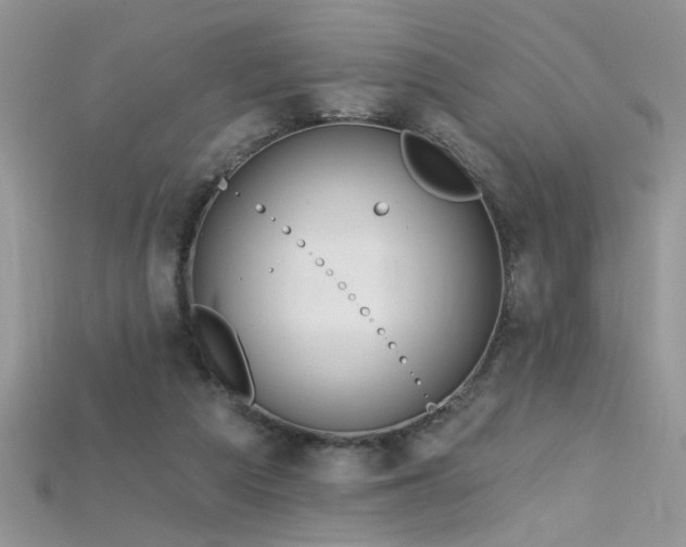 X0000115690209200911121315