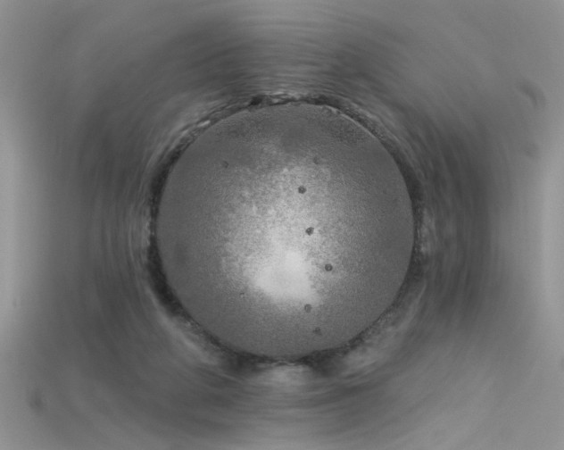 X0000115690210200911121315