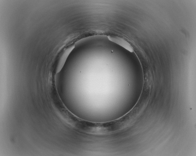 X0000115690212200911121315