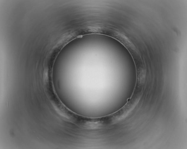 X0000115690213200911121315