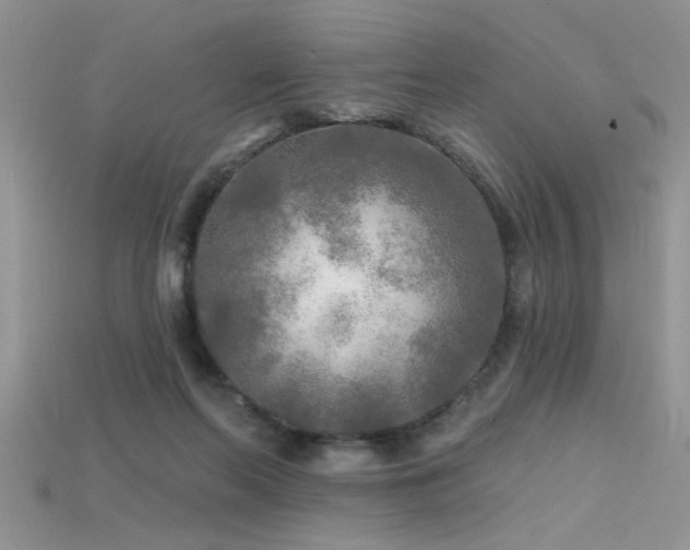 X0000115690214200911121315