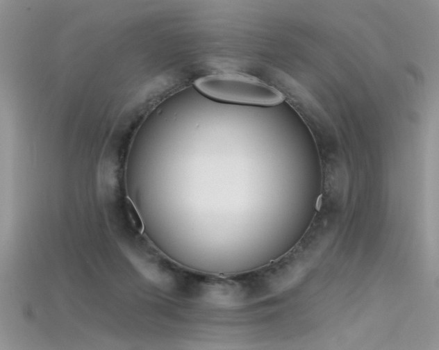 X0000115690215200911121315
