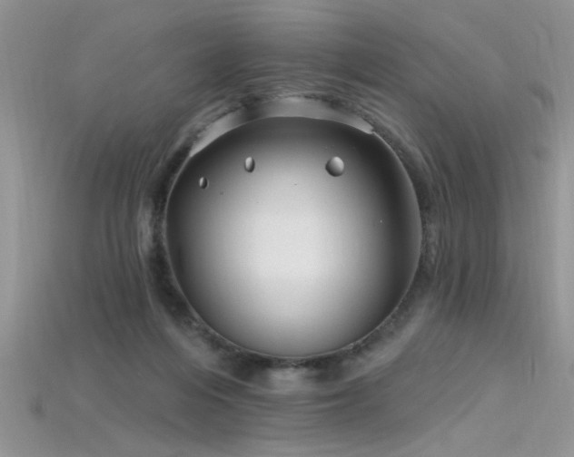 X0000115690216200911121315