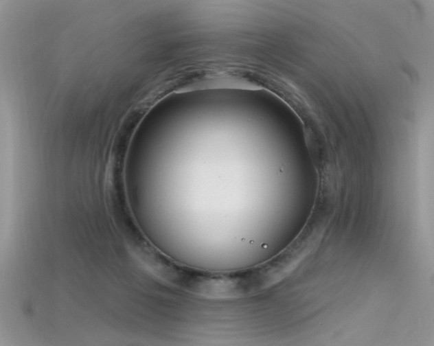 X0000115690217200911121315
