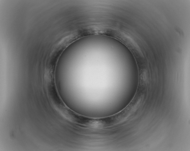 X0000115690218200911121315