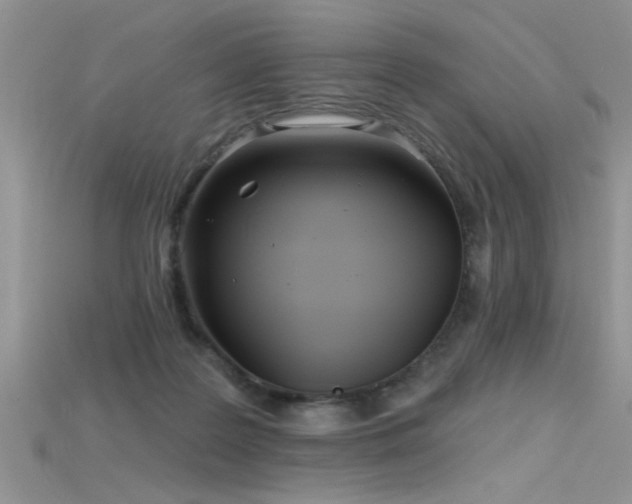 X0000115690219200911121314