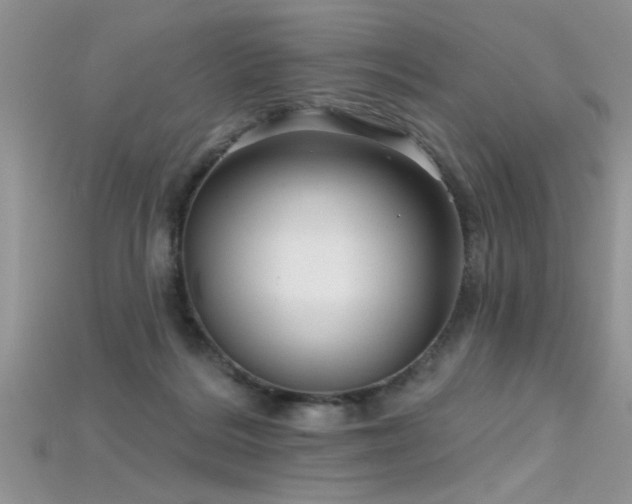 X0000115690220200911121314