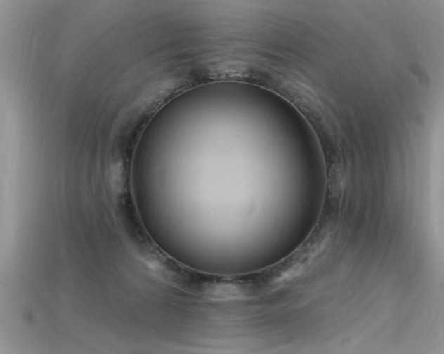 X0000115690224200911121314