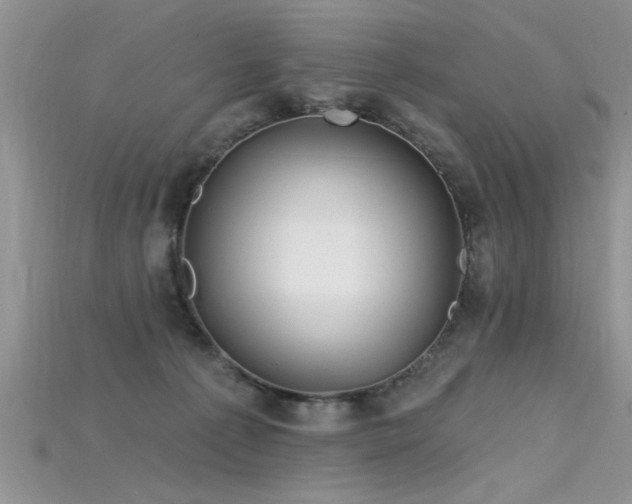 X0000115690225200911121314
