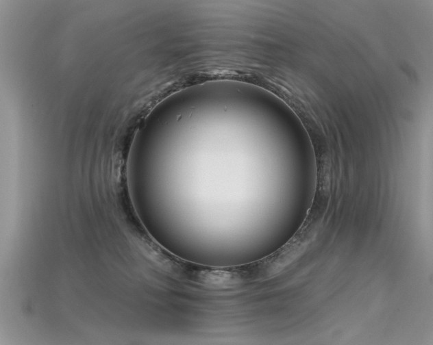 X0000115690230200911121314