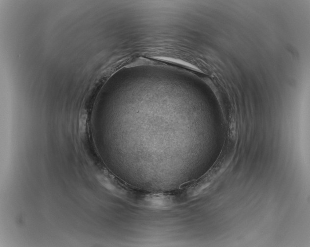 X0000115690231200911121314