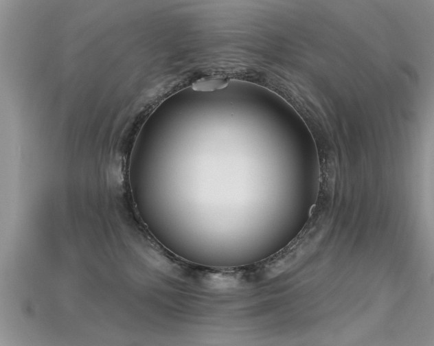 X0000115690232200911121314