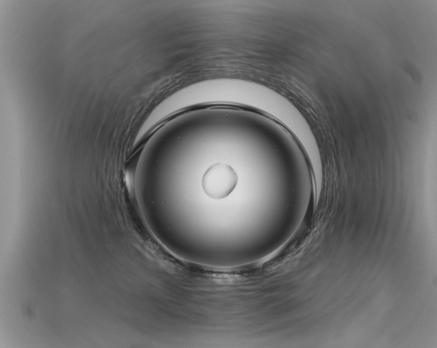 X0000115690233200911121314