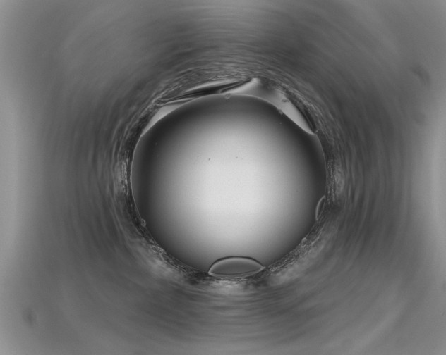 X0000115690236200911121314