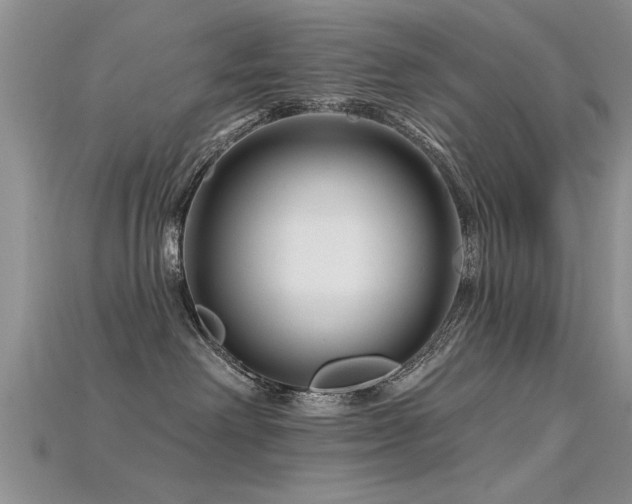 X0000115690238200911121314