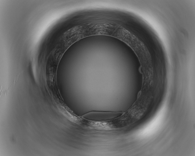X0000115690239200911121314