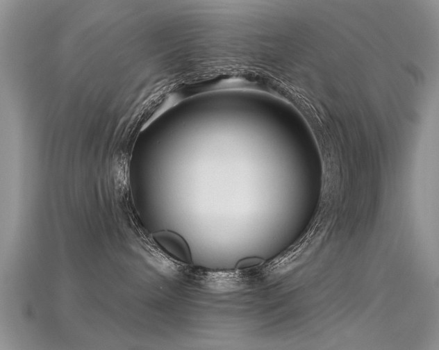 X0000115690240200911121314