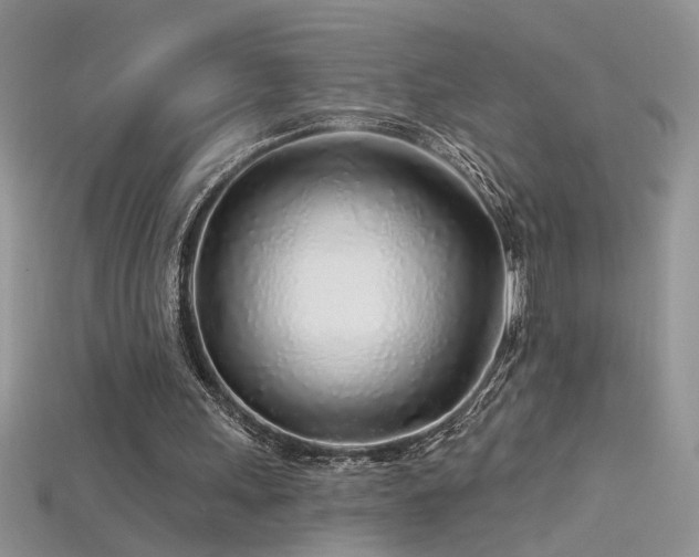 X0000115690243200911121313