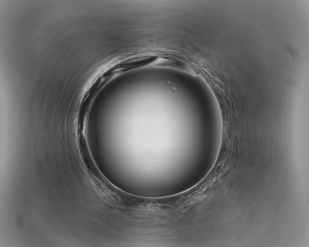 X0000115690244200911121313