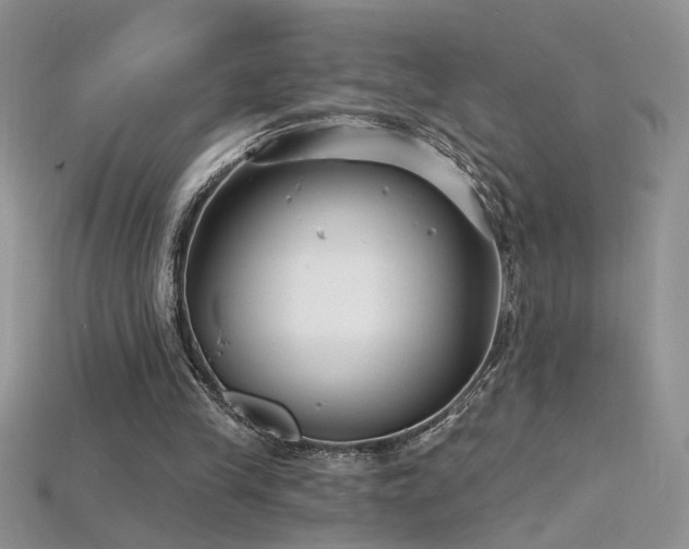 X0000115690245200911121313