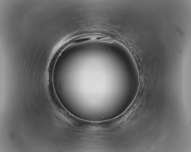 X0000115690246200911121314