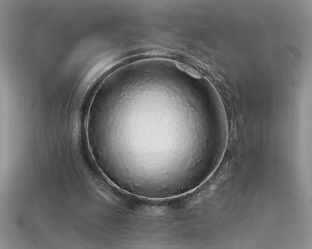 X0000115690247200911121314