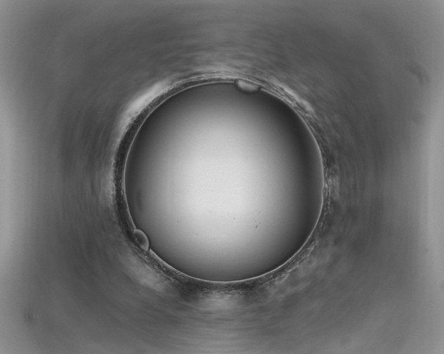 X0000115690248200911121314