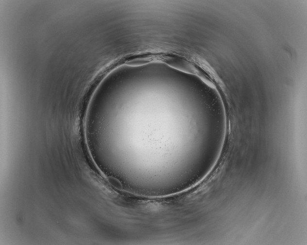 X0000115690249200911121314