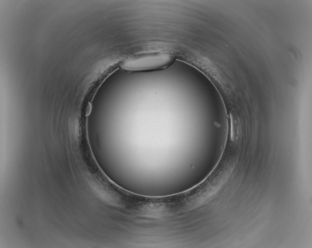X0000115690252200911121314