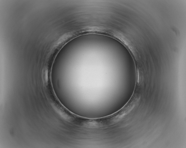 X0000115690253200911121314