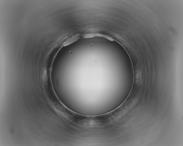 X0000115690254200911121314