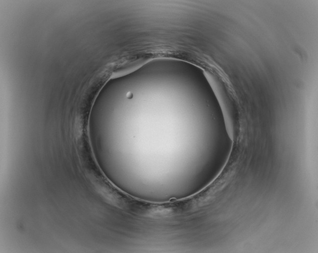 X0000115690257200911121314