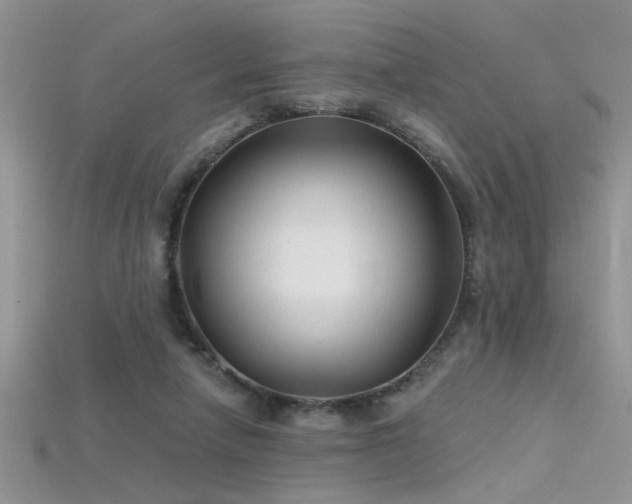 X0000115690258200911121314