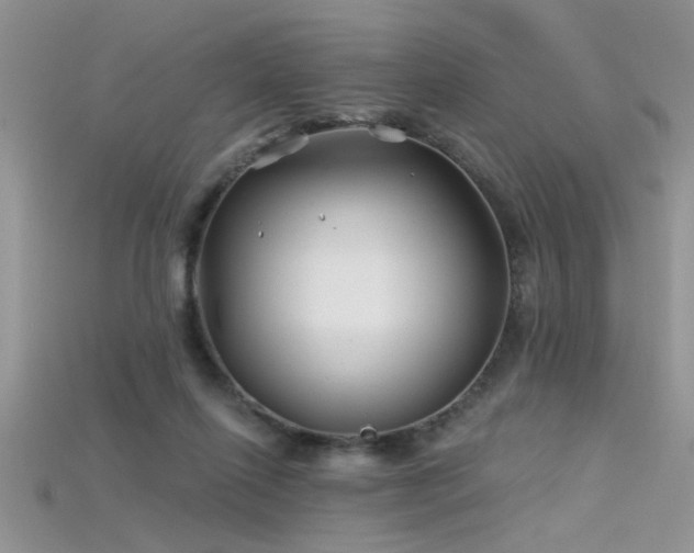 X0000115690262200911121314
