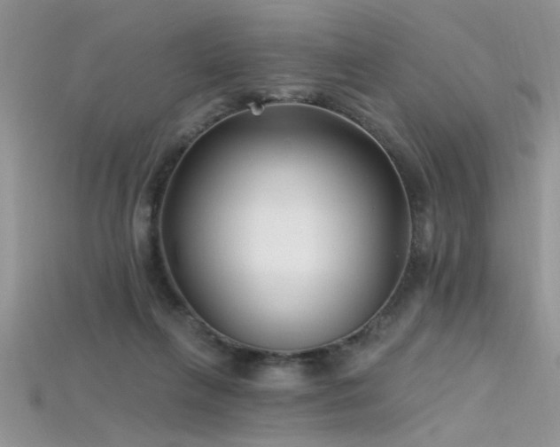 X0000115690263200911121314