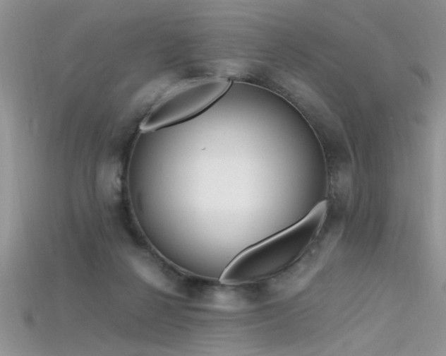 X0000115690264200911121314