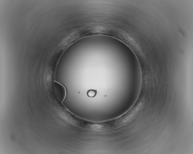 X0000115690265200911121314