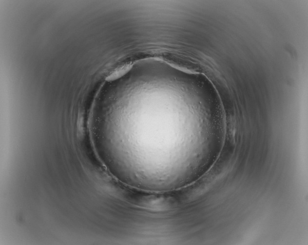 X0000115690267200911121314